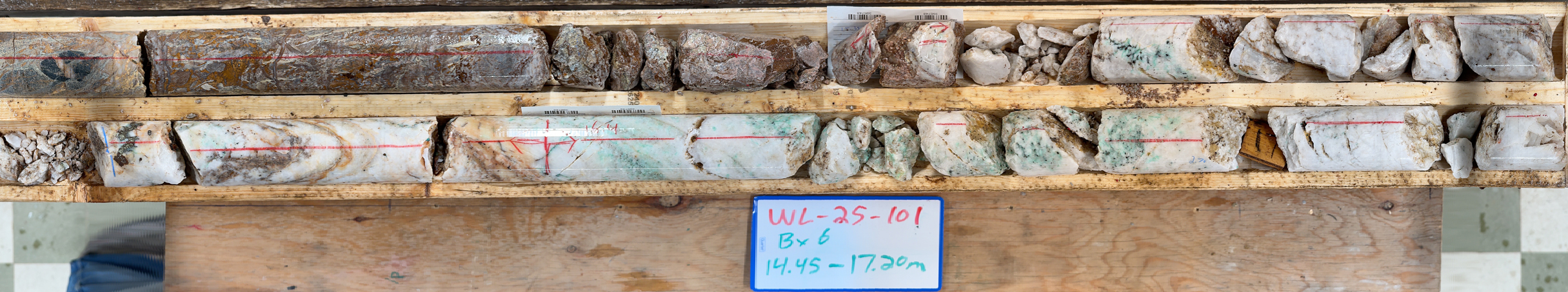 Figure 1. Quartz-Tourmaline-Sulphide Vein with sheared altered Rogerson Lake conglomerate at Elm Zone in hole WL-25-101.